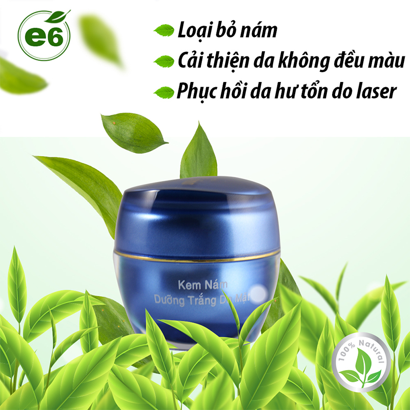 KEM NÁM DƯỠNG TRẮNG DA MẶT ERINA 18gr